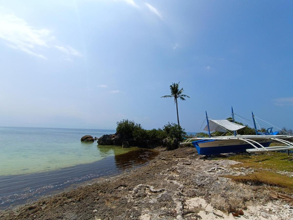 The Wild Orchid Resort - Moalboal Dış mekan fotoğraf