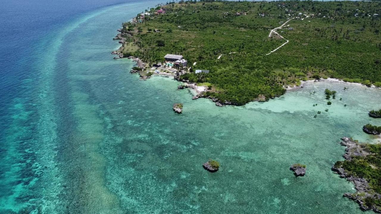 The Wild Orchid Resort - Moalboal Dış mekan fotoğraf