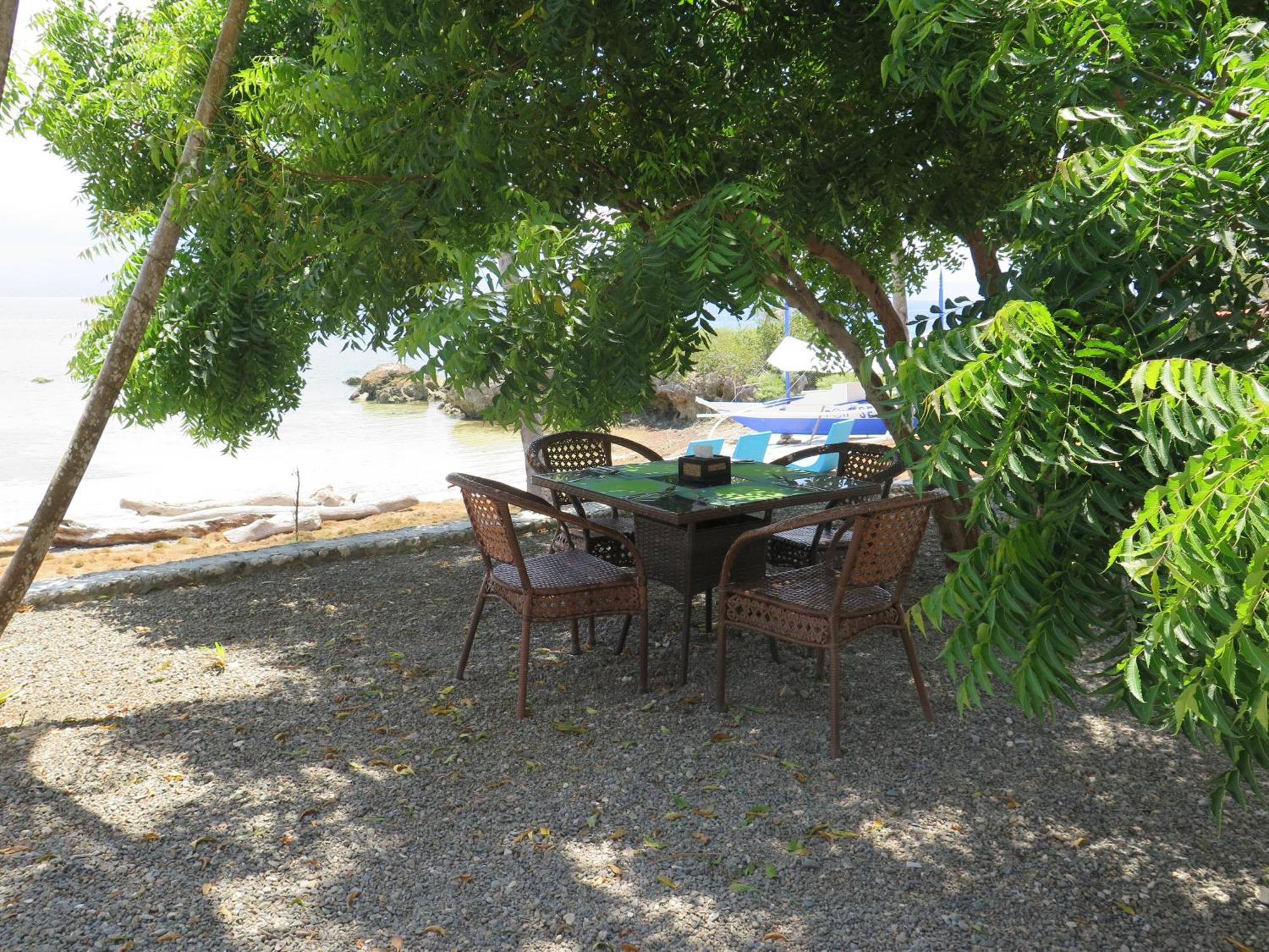 The Wild Orchid Resort - Moalboal Dış mekan fotoğraf