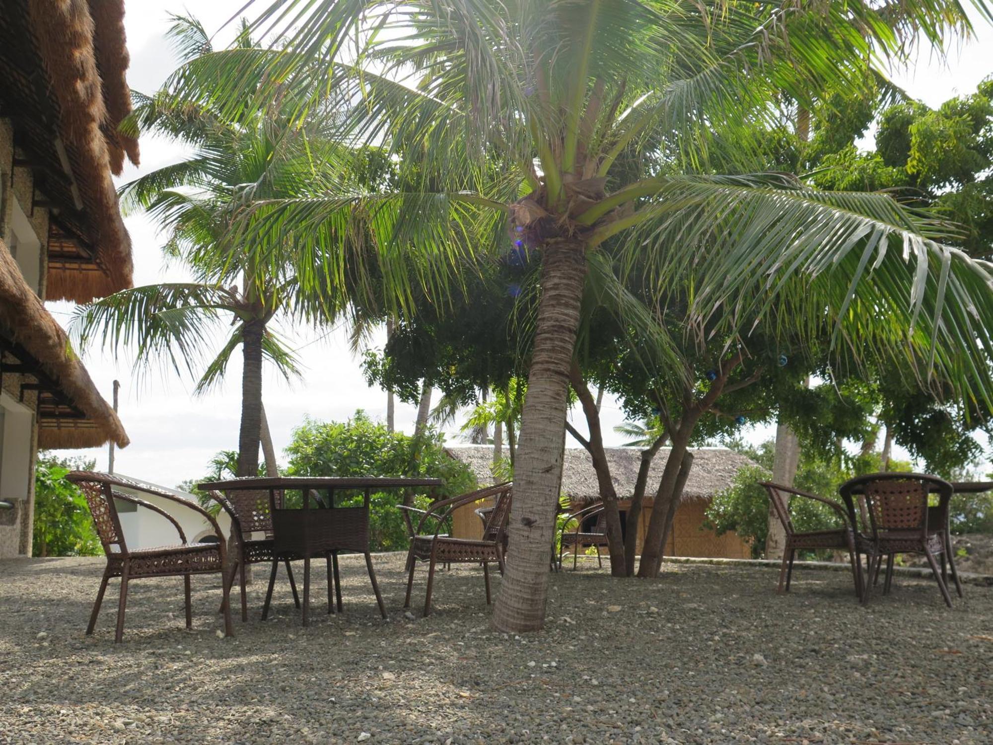 The Wild Orchid Resort - Moalboal Dış mekan fotoğraf