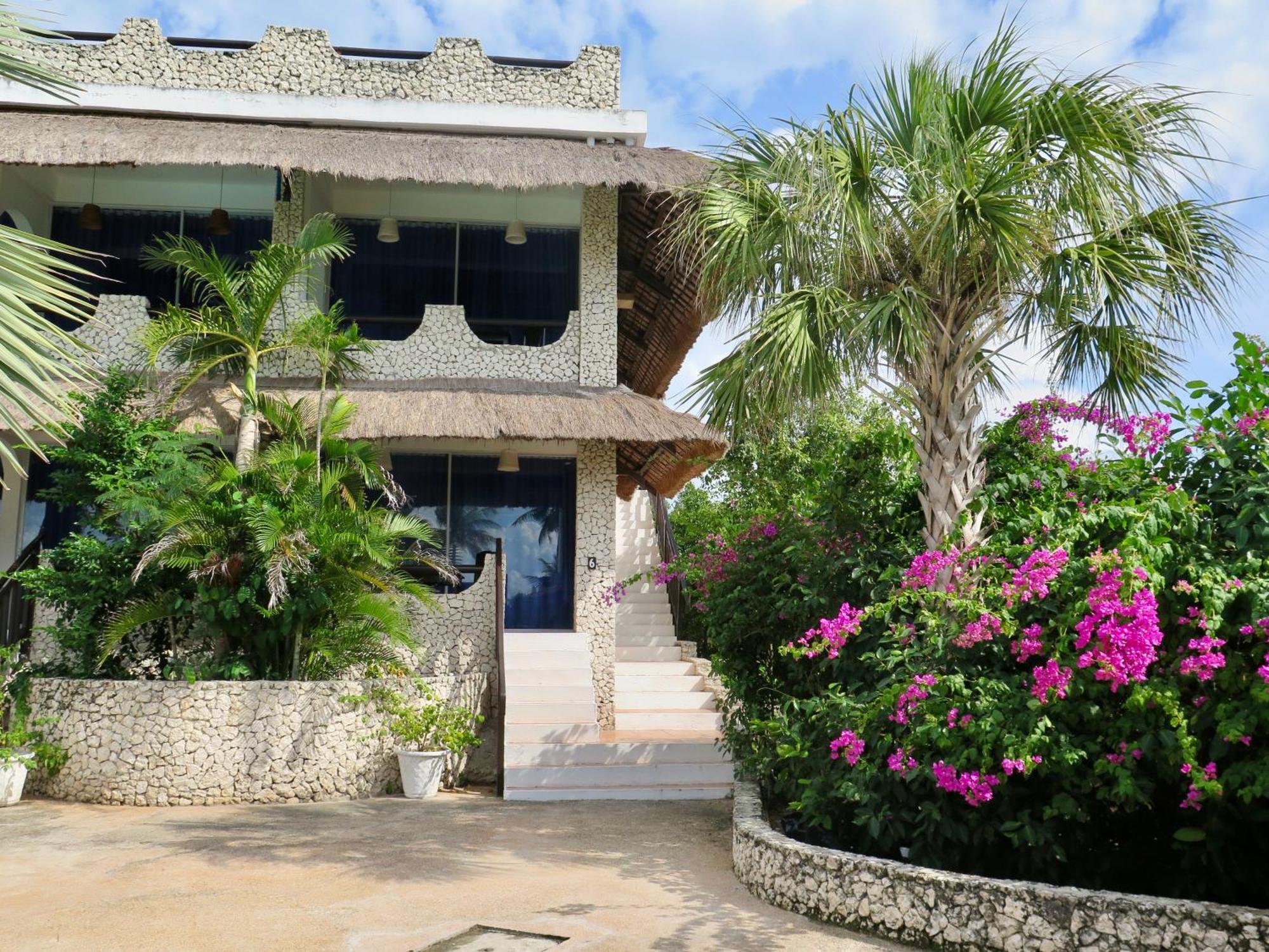 The Wild Orchid Resort - Moalboal Dış mekan fotoğraf