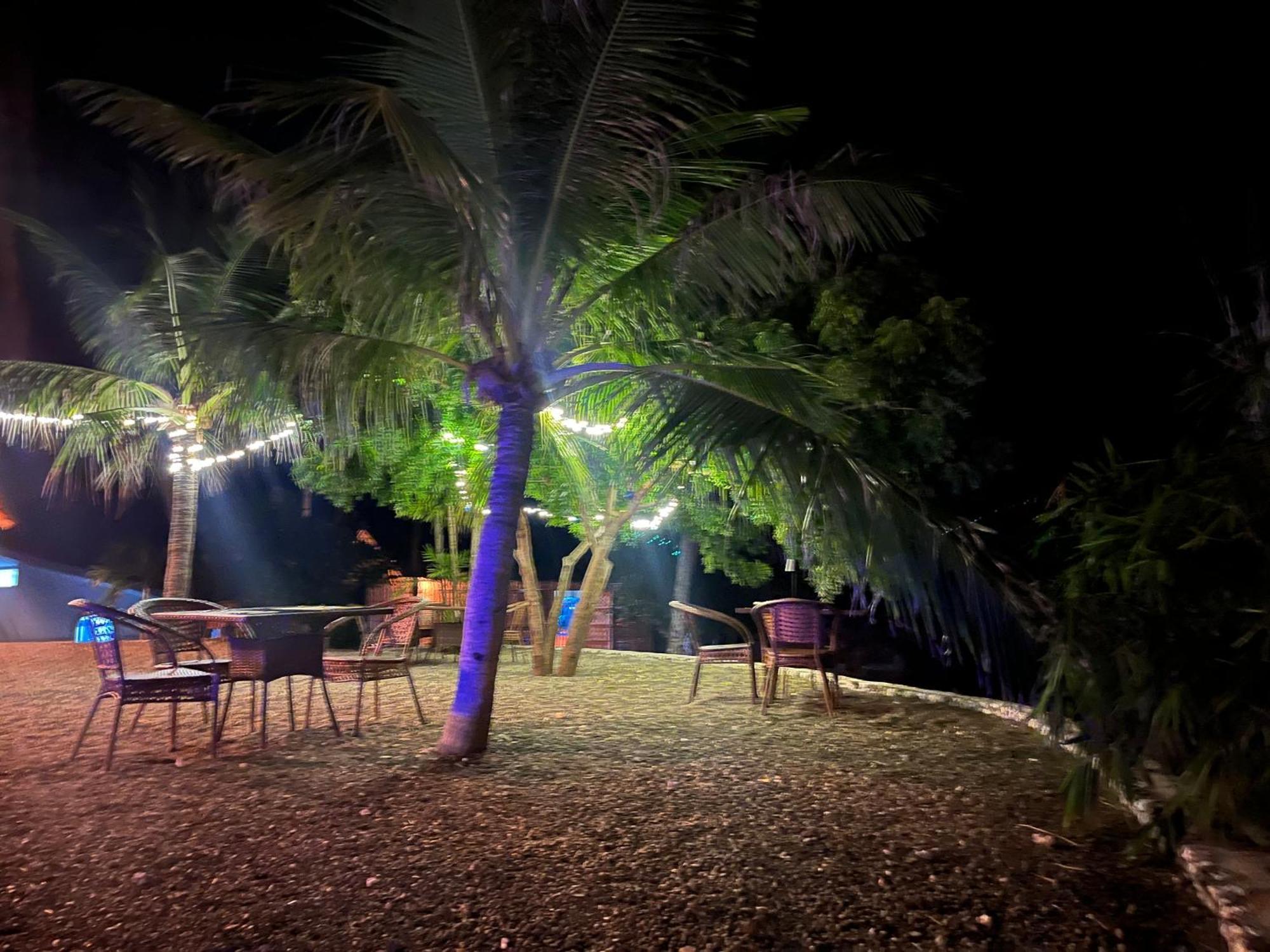 The Wild Orchid Resort - Moalboal Dış mekan fotoğraf