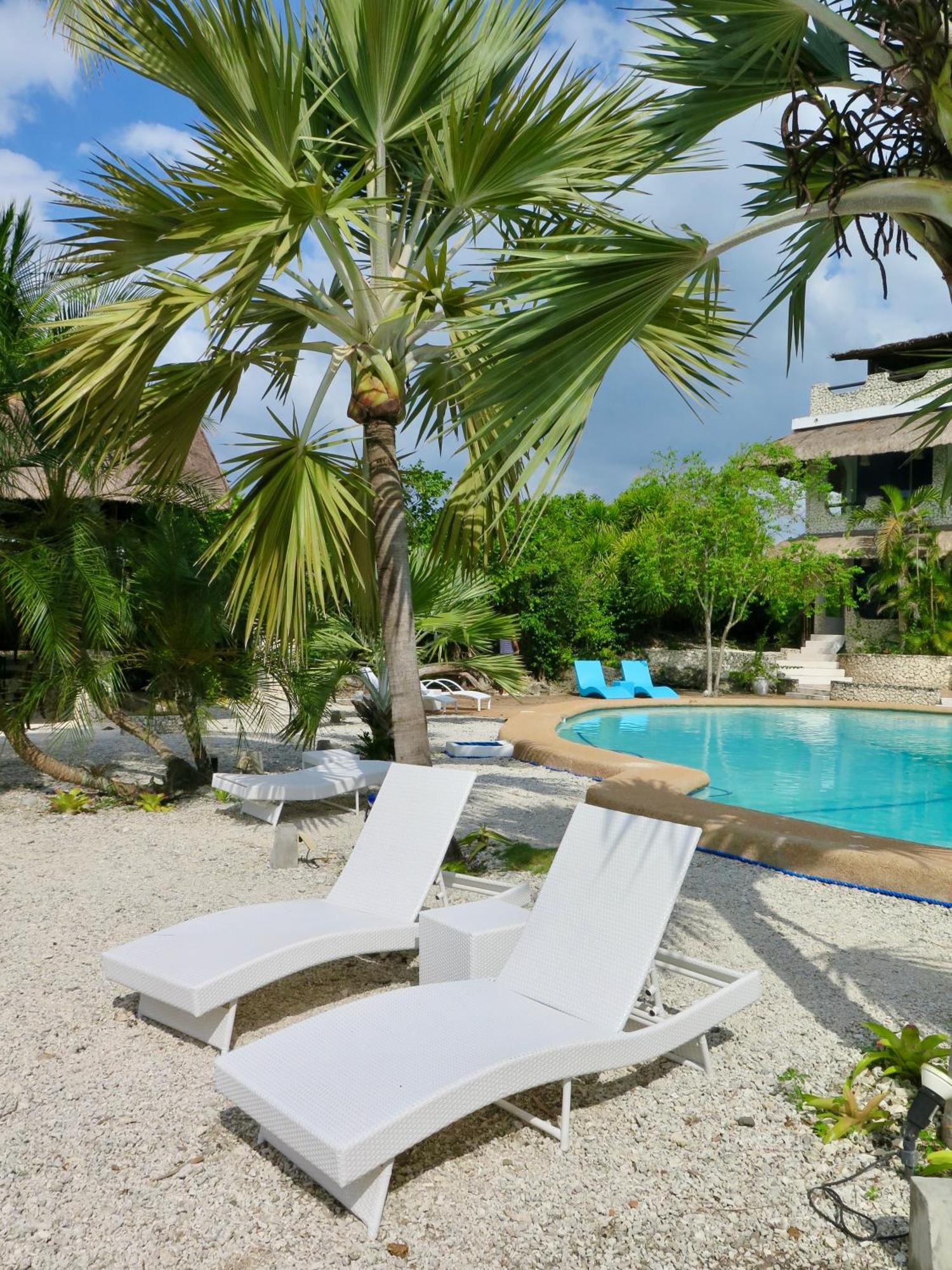 The Wild Orchid Resort - Moalboal Dış mekan fotoğraf