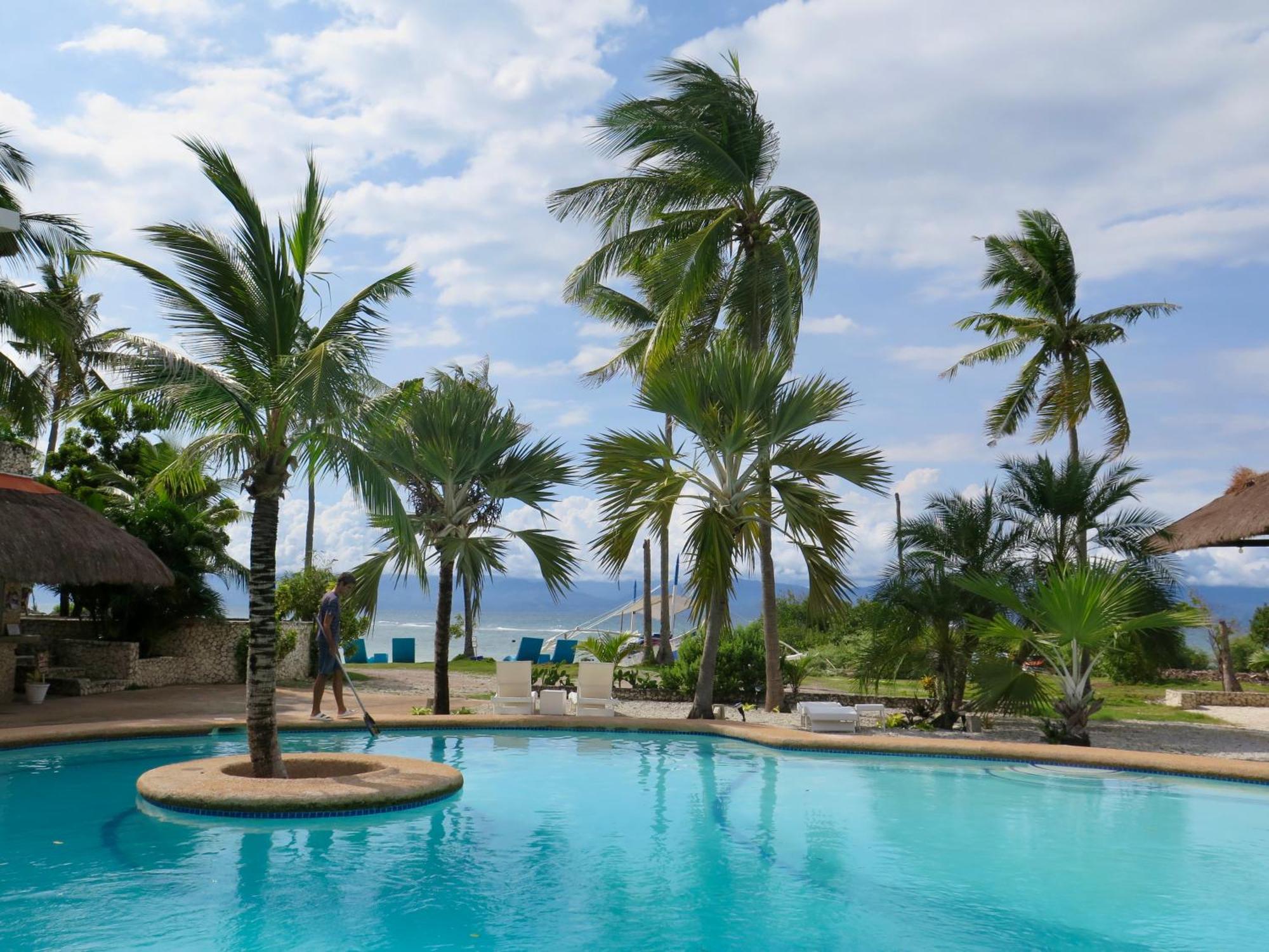 The Wild Orchid Resort - Moalboal Dış mekan fotoğraf