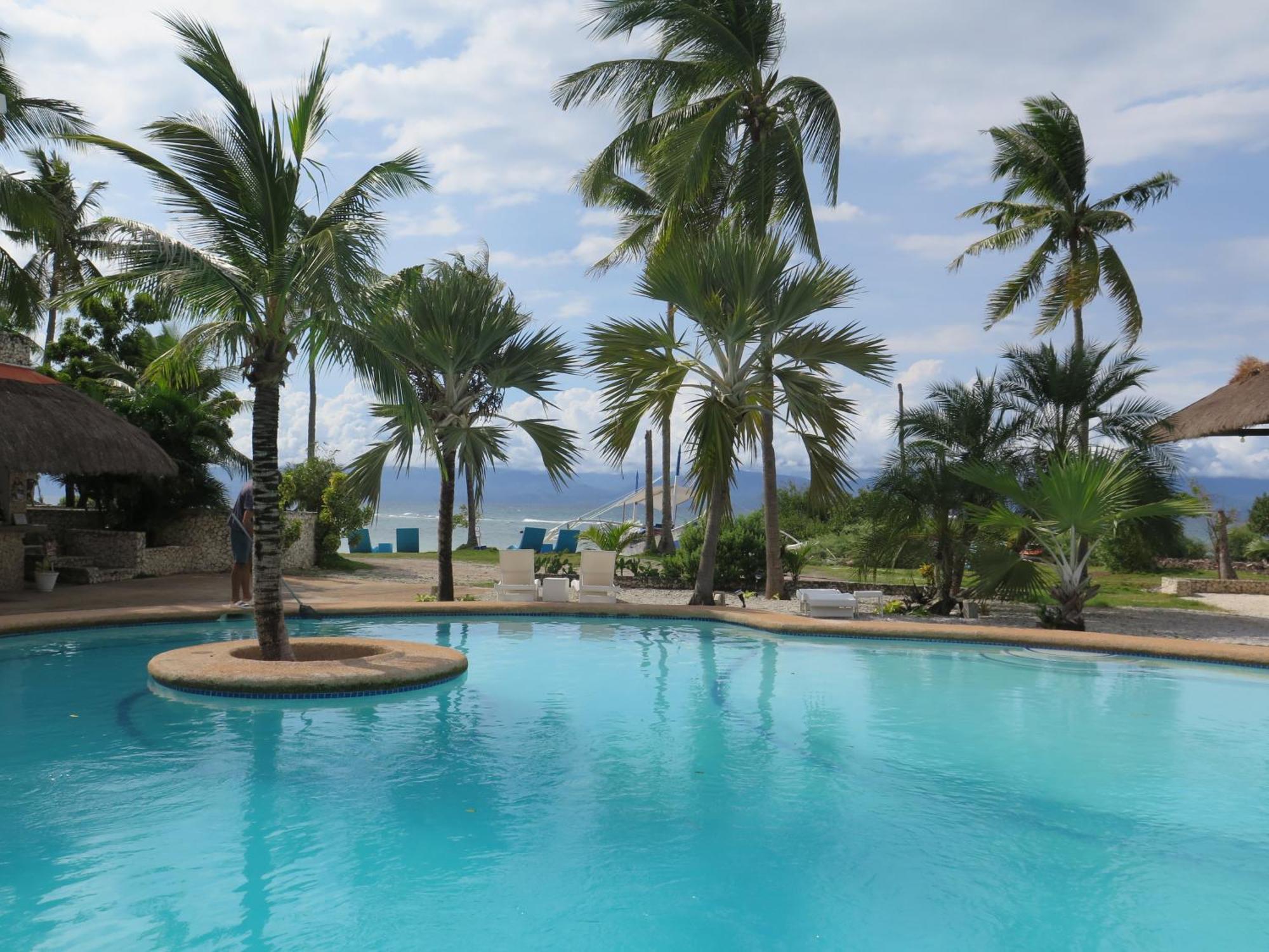 The Wild Orchid Resort - Moalboal Dış mekan fotoğraf