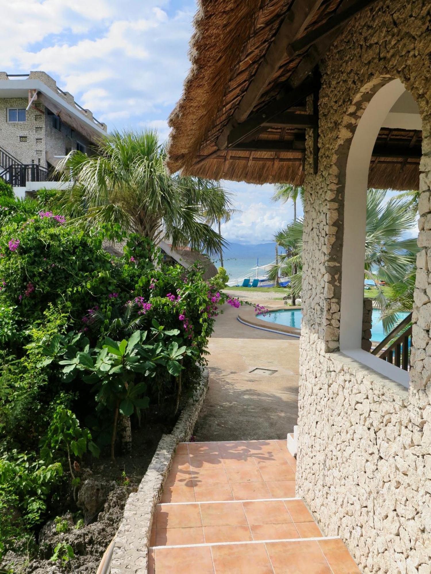The Wild Orchid Resort - Moalboal Dış mekan fotoğraf
